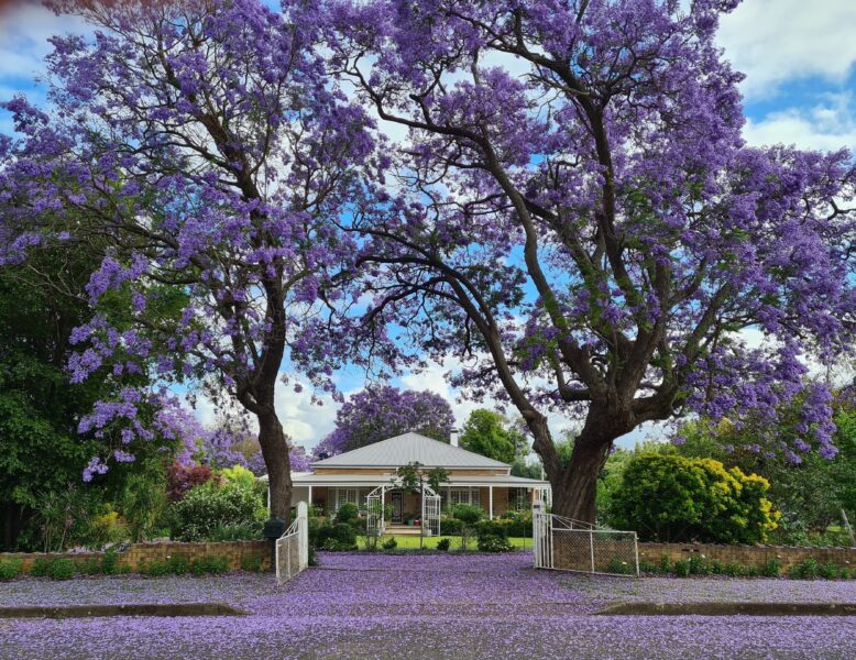 Gunnedah-BnB-Gallery3