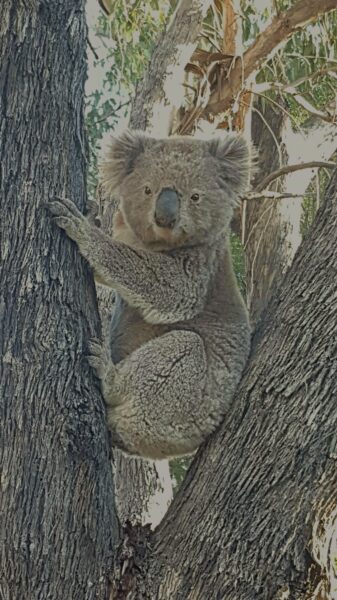 Gunnedah-BnB-Gallery5