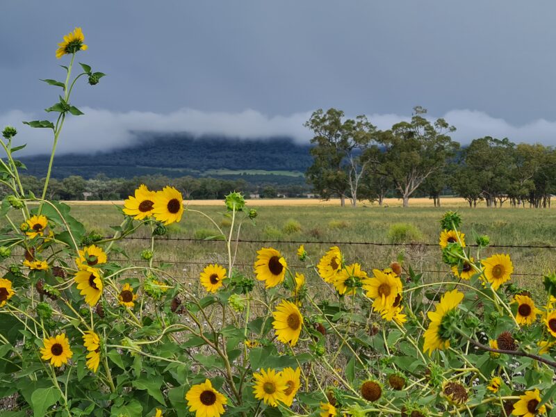 Gunnedah-BnB-Gallery6